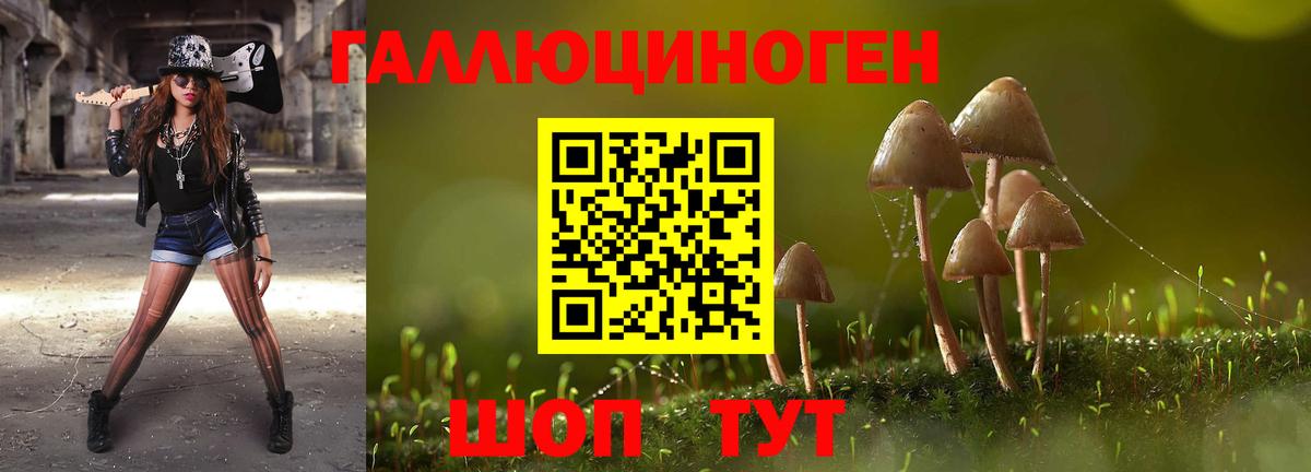 Псилоцибиновые грибы Psilocybine cubensis Котельники